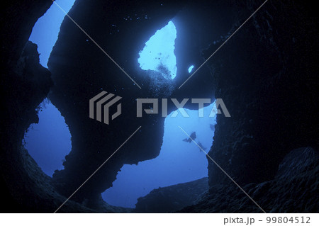 宮古島　ダイビング 99804512