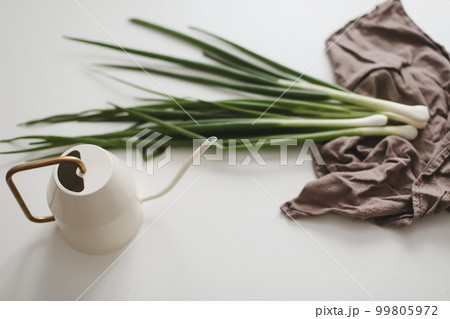 fresh green onions and watering can on white background top view, flat lay. Gardening, farming, ecology concept. Healthy organic food 99805972