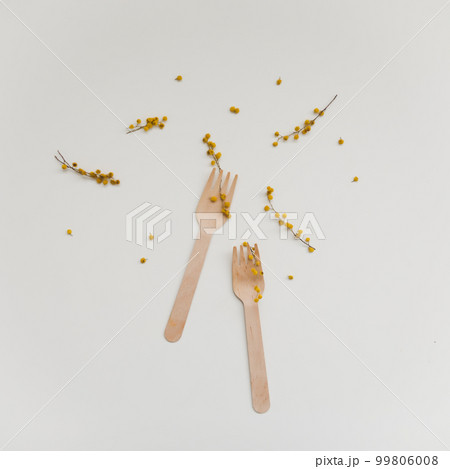 Eco friendly bamboo cutlery, reusable wooden fork and mimosa flowers on white background. Sustainable lifestyle, plastic free concept, zero waste Eco friendly bamboo cutlery, reusable wooden fork and mimosa flowers on white background. Sustainable lifestyle, plastic free concept, zero waste 99806008
