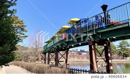 青空に映えるカラフルなこども汽車ゆめポッポ〈南公園西三田ヶ入池/愛知県岡崎市〉 青空に映えるカラフルなこども汽車ゆめポッポ〈南公園西三田ヶ入池/愛知県岡崎市〉 99806834