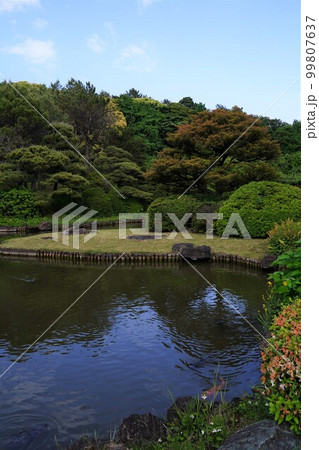 小石川植物園、小石川、植物園、koishikawa、日本、公園、庭園、日本庭園、植物、木、池、緑、自 小石川植物園、小石川、植物園、koishikawa、日本、公園、庭園、日本庭園、植物、木、池、緑、自 99807637