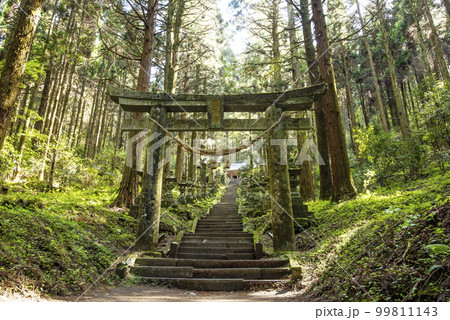 上色見熊野座神社　熊本人気スポット　パワースポット 99811143