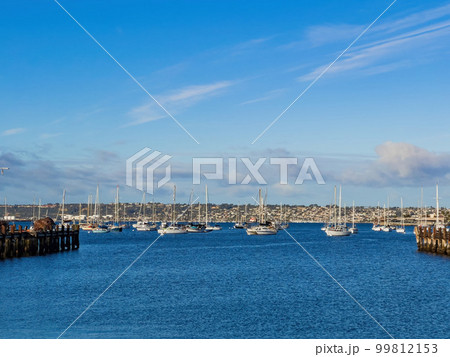 Sunny view of the San Diego Bay with many ships 99812153