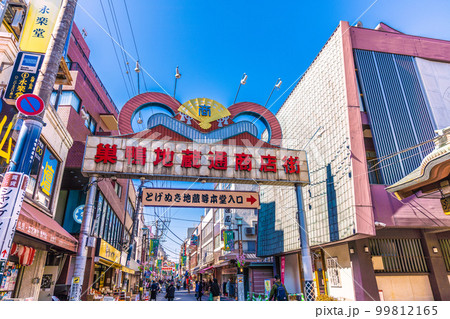 日本の東京都市景観　巣鴨地蔵通商店街などを望む 99812165