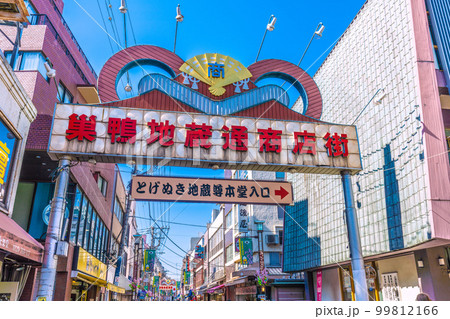 日本の東京都市景観 巣鴨地蔵通商店街などを望む 日本の東京都市景観 巣鴨地蔵通商店街などを望む 99812166