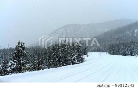 Yellowstone Winter Snow 99812542