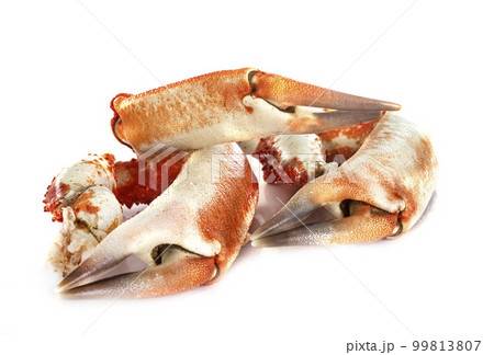 king crab leg king crab leg 99813807