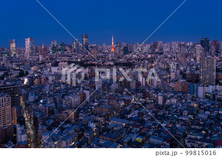 《東京都》東京夜景・トワイライトブルー 《東京都》東京夜景・トワイライトブルー 99815016