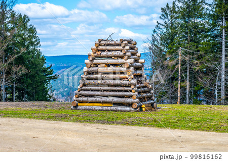 A stack of wooden logs burning bright on a meadow, prepared for the traditional Czech holiday of burning witches - the Filip and Jacob Night. Czech Republic A stack of wooden logs burning bright on a meadow, prepared for the traditional Czech holiday of burning witches - the Filip and Jacob Night. Czech Republic 99816162
