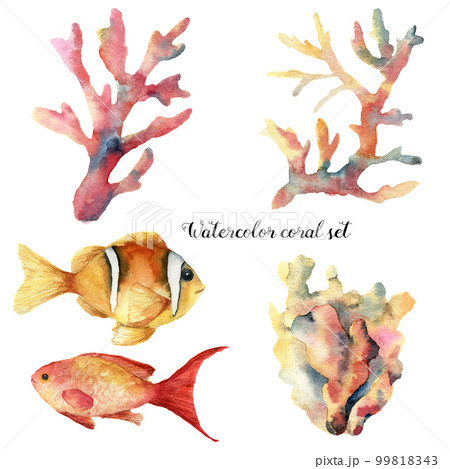 Watercolor set with coral and fish. Hand painted underwater branches and reef fish isolated on white background. Tropical sea life illustration. For design, print or background. Watercolor set with coral and fish. Hand painted underwater branches and reef fish isolated on white background. Tropical sea life illustration. For design, print or background. 99818343