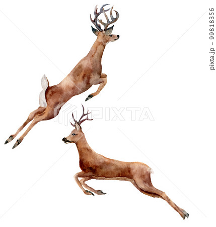 Watercolor running deers set isolated on white background. Chris Watercolor running deers set isolated on white background. Chris 99818356