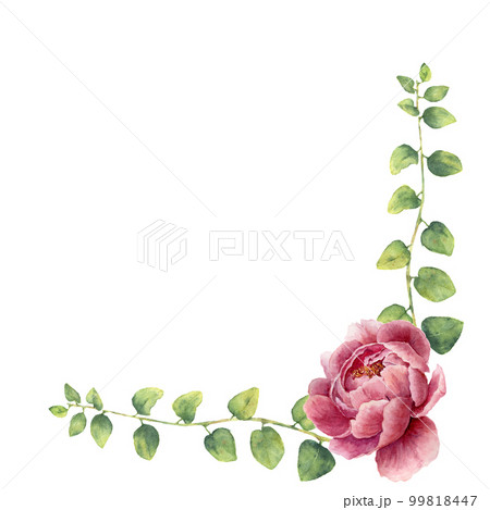 Watercolor floral wreath with leaves of twig herb and peony flowers. Hand painted floral border with branches, leaves of curly herb and flowers isolated on white background. For design or background 99818447
