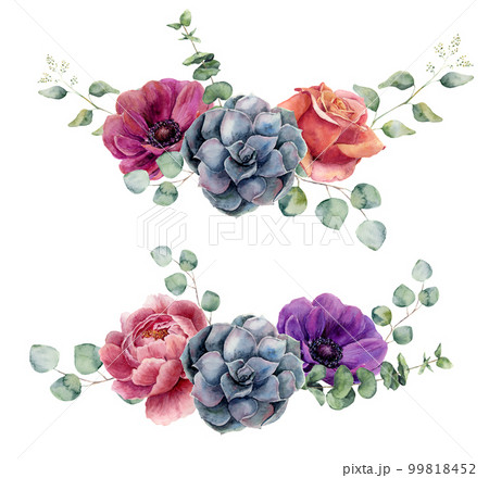 Watercolor floral elements isolated on white background. Vintage style posy set with eucalyptus branches, rose, succulents, peony, anemone flower, leaves. Flower hand painted design Watercolor floral elements isolated on white background. Vintage style posy set with eucalyptus branches, rose, succulents, peony, anemone flower, leaves. Flower hand painted design 99818452
