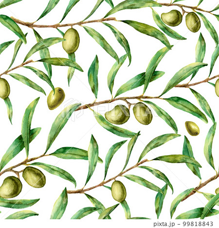 Watercolor olive pattern. Hand painted seamless floral ornament with olive berry and tree branches with leaves. For design, print and fabric Watercolor olive pattern. Hand painted seamless floral ornament with olive berry and tree branches with leaves. For design, print and fabric 99818843