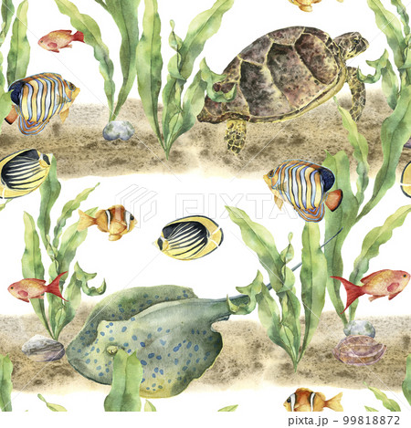 Watercolor tropic pattern with animals and fish. Hand painted tropic fish, seaweeds, stingray, pebbles, sea turtle, seashell isolated on white background. Underwater illustration for fabric or print. 99818872
