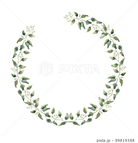 Watercolor floral border with eucalyptus leaves and flowers. Hand painted wreath branches, of isolated on white background. For design or Watercolor floral border with eucalyptus leaves and flowers. Hand painted wreath branches, of isolated on white background. For design or 99819388