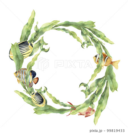 Watercolor sea wreath with laminaria and tropical fish. Hand painted underwater floral illustration with algae leaves branch and animals isolated on white background. Ocean print Watercolor sea wreath with laminaria and tropical fish. Hand painted underwater floral illustration with algae leaves branch and animals isolated on white background. Ocean print 99819433