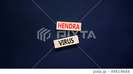 Hendra virus symbol. Concept words Hendra virus on wooden block. Beautiful black table black background. Medical hendra virus concept. Copy space. 99819688