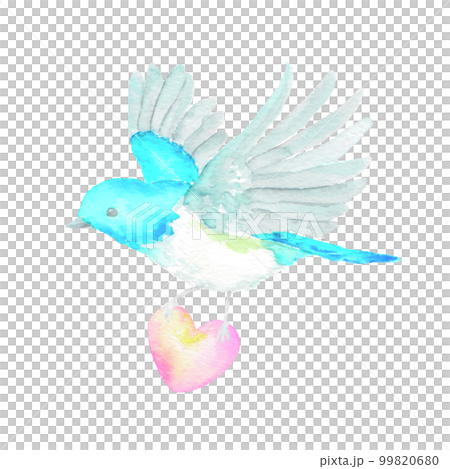 ハート型を持って飛ぶ青い小鳥の水彩イラスト 99820680