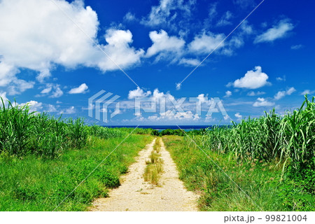 沖縄県小浜島道と空と雲 99821004