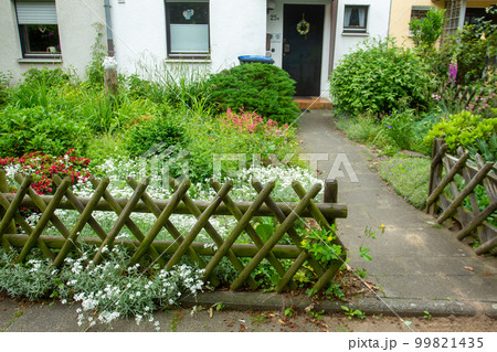 Baby's breath flower in outer garden next to house in townhouse syetem in outskirts of Cologne Baby's breath flower in outer garden next to house in townhouse syetem in outskirts of Cologne 99821435