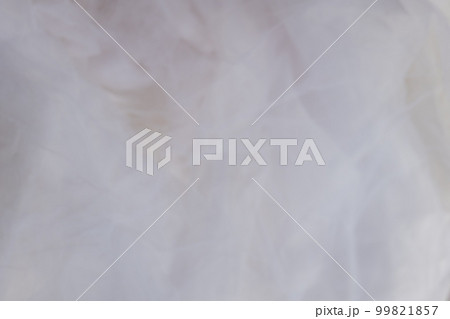 背景素材　ファブリック　白　ホワイト　仮想空間　バーチャル背景　サイバー空間　非日常空間　チュール 99821857