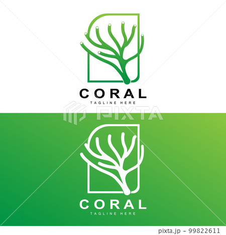 Coral Logo, Sea Plants Place Marine Animals, Ocean Vector, Seaweed Icons 99822611