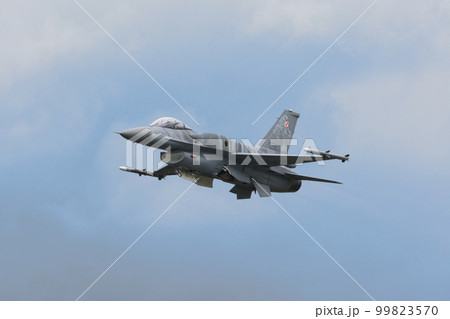 ポーランド空軍F-16Cブロック52+「タイガーデモチーム」 ポーランド空軍F-16Cブロック52+「タイガーデモチーム」 99823570