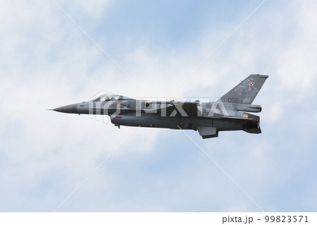 ポーランド空軍F-16Cブロック52+「タイガーデモチーム」 99823571