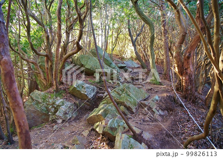 御岩神社 99826113