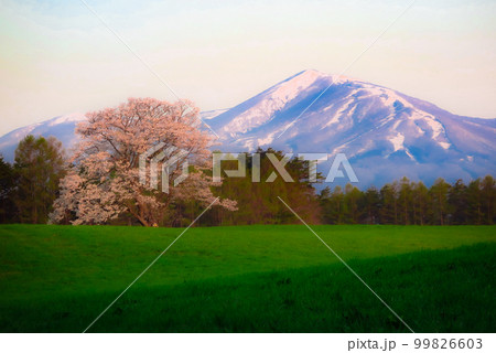 朝陽浴びて 99826603