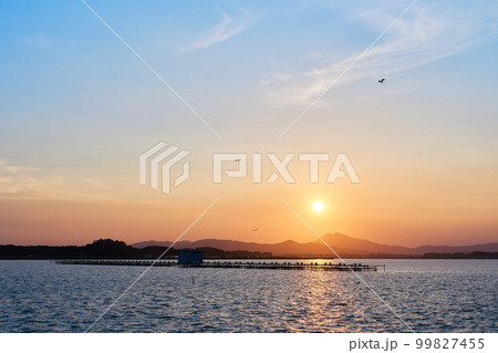 霞ヶ浦から望む夕暮れ時の筑波山ののどかな風景と飛ぶ鳥 霞ヶ浦から望む夕暮れ時の筑波山ののどかな風景と飛ぶ鳥 99827455