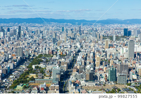 大阪府　あべのハルカスからの眺め（天王寺公園方面） 99827555