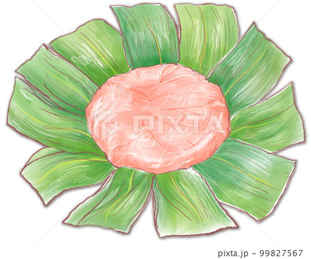 ますの押し寿司 ますの押し寿司 99827567