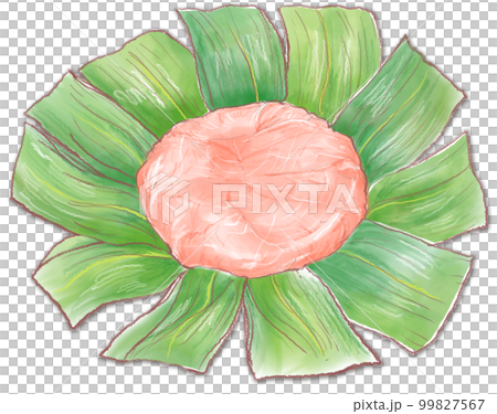 ますの押し寿司 ますの押し寿司 99827567