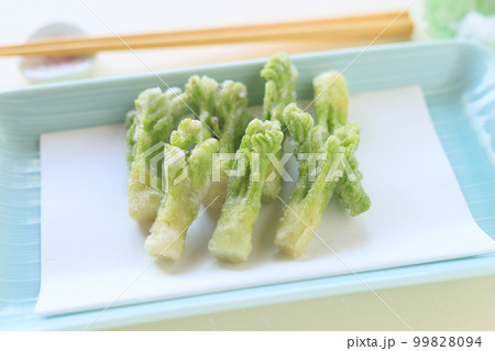たらの芽の天ぷら 99828094