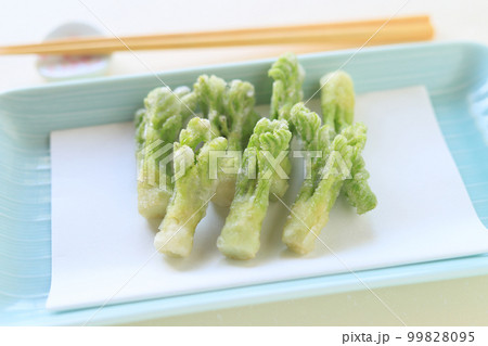 たらの芽の天ぷら 99828095