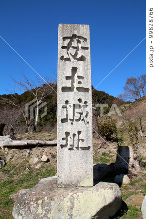 安土城跡 安土城跡 99828766