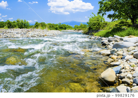 新緑の利根川と赤城山 99829176