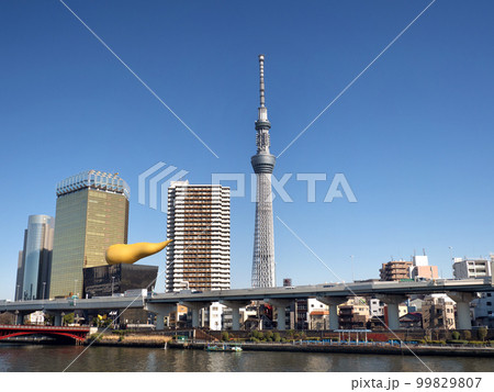 隅田川から眺める東京スカイツリー　東京都 99829807