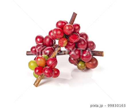 coffee beans isolated on white 99830163