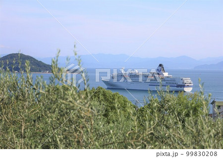 夏の小豆島、瀬戸内海、豪華客船のクルーズ、そして海上にあがる花火 99830208