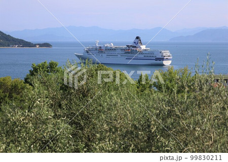 夏の小豆島、瀬戸内海、豪華客船のクルーズ、そして海上にあがる花火 99830211