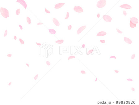 桜 桜吹雪 お花見 ソメイヨシノ  99830920