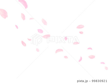 桜 桜吹雪 お花見 ソメイヨシノ  99830921