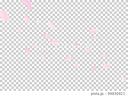 桜 桜吹雪 お花見 ソメイヨシノ  99830921