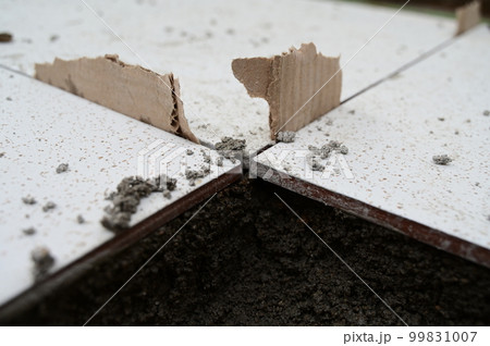 white tile and cement floor, construction industry 99831007