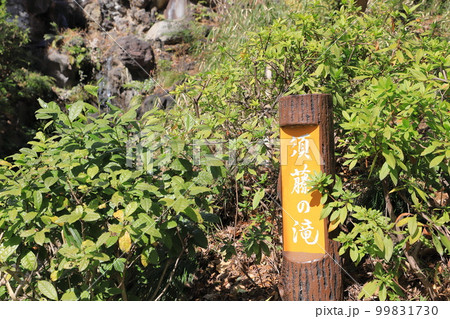 文京区立須藤公園　須藤の滝　文京区千駄木 99831730