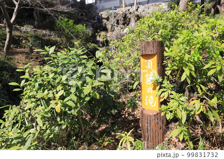 文京区立須藤公園　須藤の滝　文京区千駄木 99831732