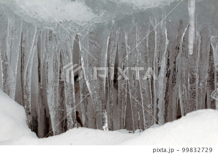 雪面にずらりと並んだ氷柱　福島県只見町 99832729
